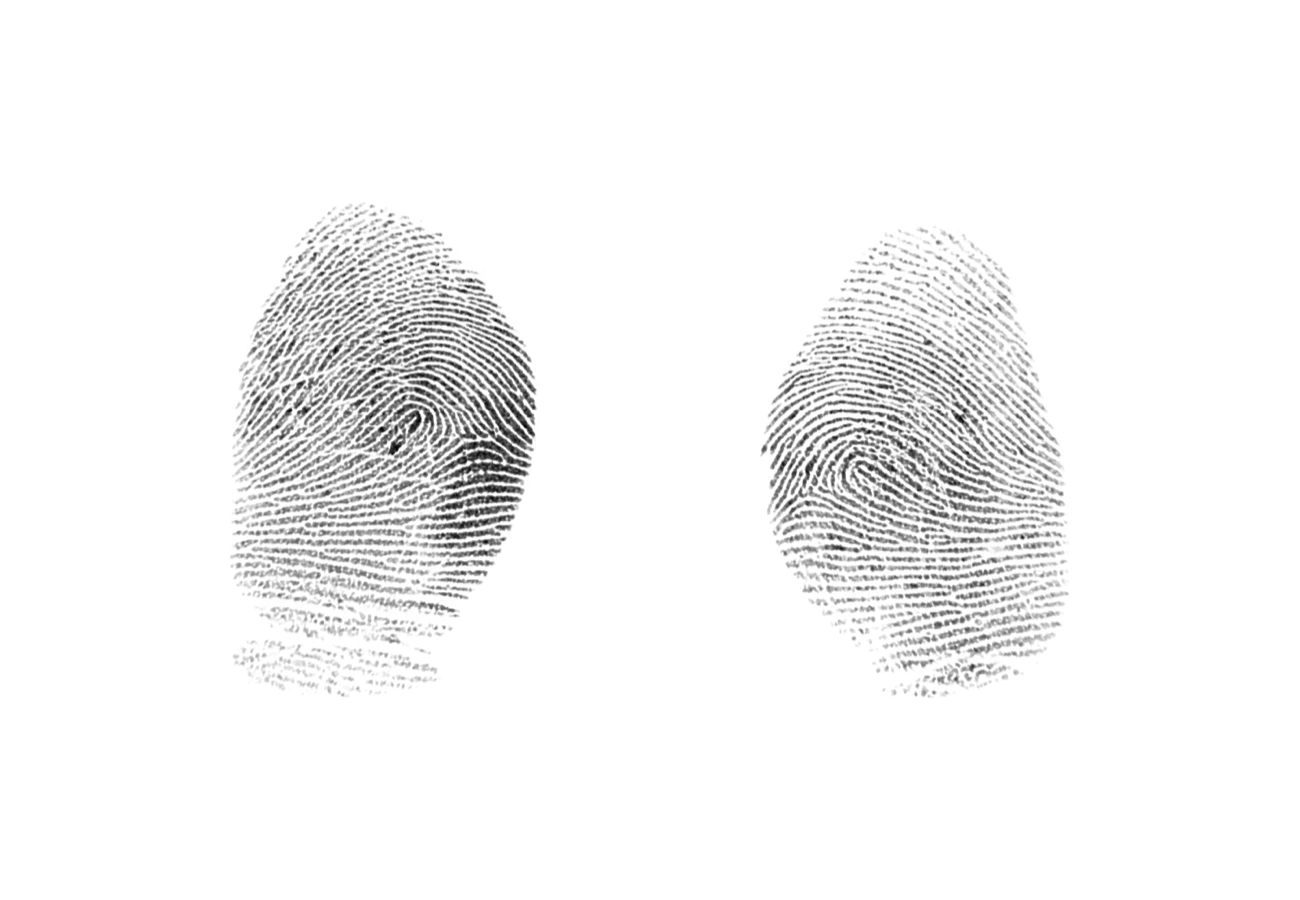 Two captured fingerprint impressions showing ridge detail used for biometric matching